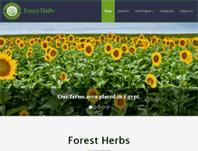 Tablet Screenshot of forestherbs.net